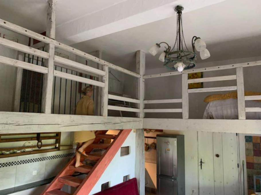Le Tapis Vert - Loft Avec Jardin Auch Buitenkant foto