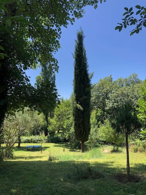 Le Tapis Vert - Loft Avec Jardin Auch Buitenkant foto
